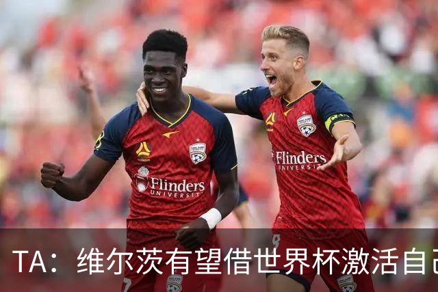 TA：维尔茨有望借世界杯激活自己，伊劳拉的战术或能释放其潜力